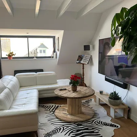 3 Centre Et 100m De La Concarneau